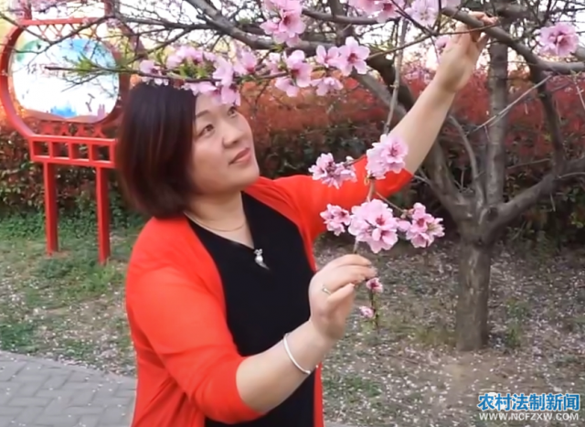 ���ഺڹ�͹������ں�