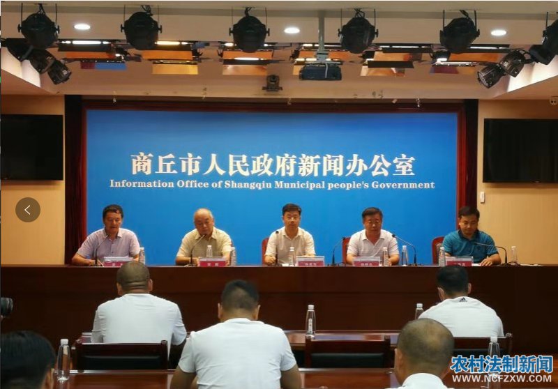 ������ҹ����2020��ҹ�侭���Ļ��»��չ�����ܽ�