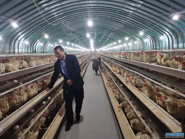 �����ݳǽ繵���۹�ͬ�����ũ���������ٿ��ֺ���