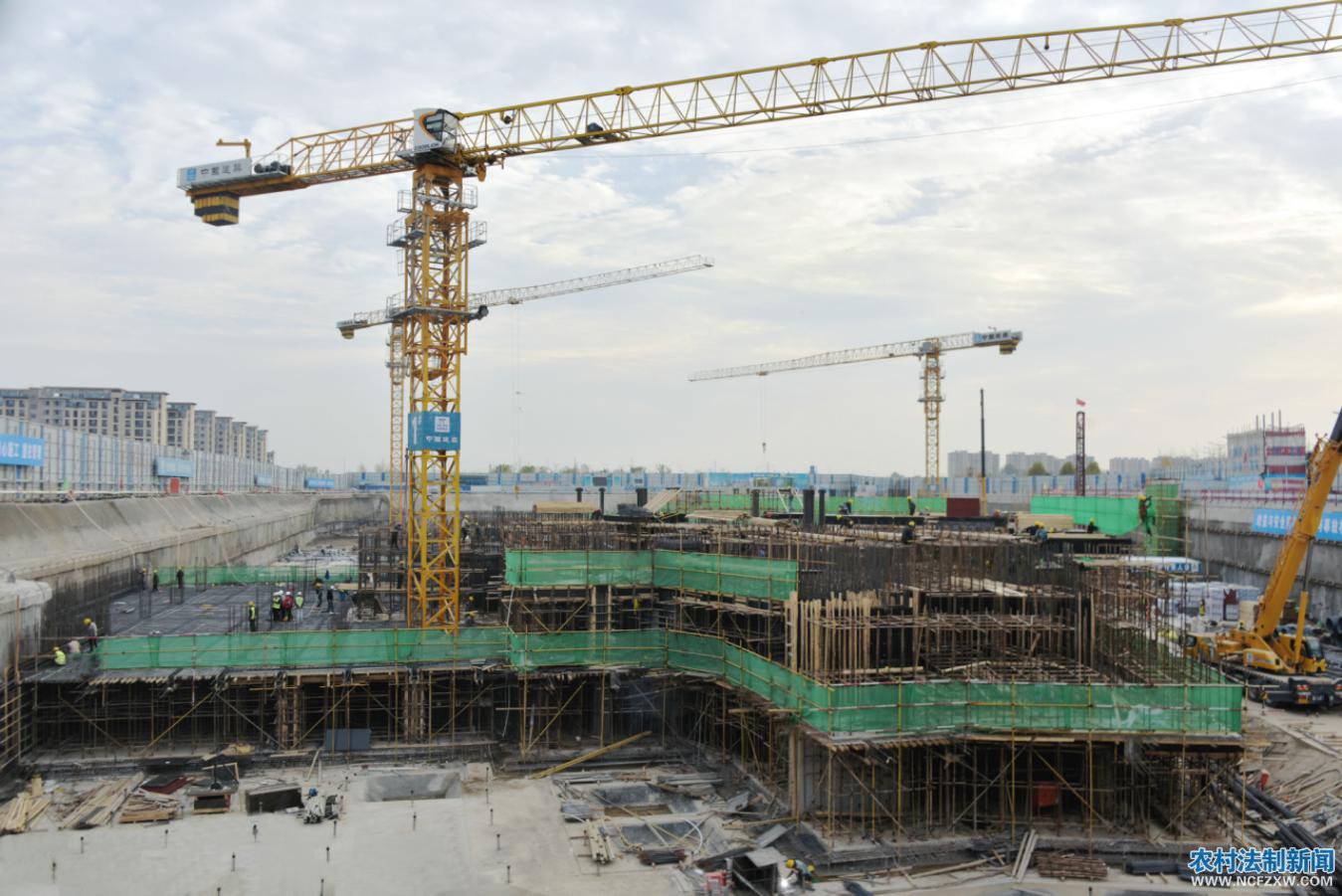 ˵��: �������� (01)