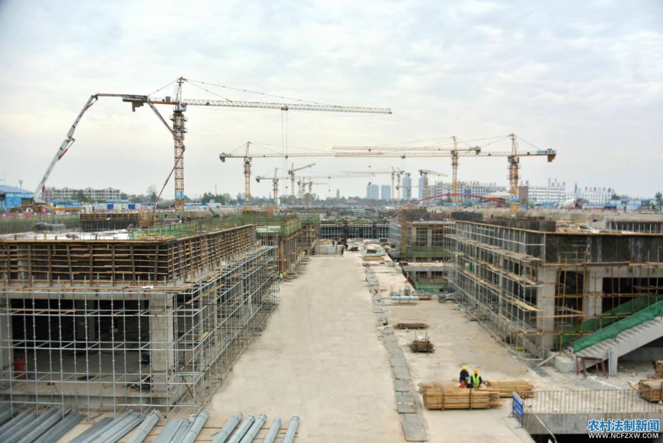 ˵��: ���� (01)