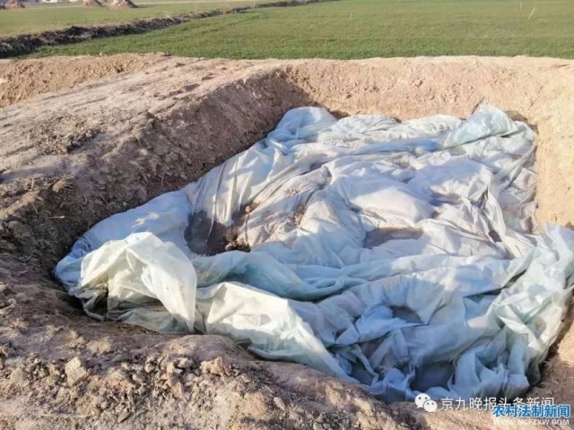 �����ݳ���ľ���� ũ���ﾪ�֡������ˡ�