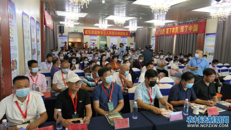 ��������ٰ조̼�к͡��߷���̳