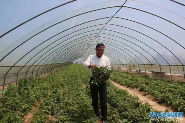 �����ź�����Ⱥ�����պ���·