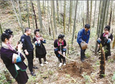 ����ֱ��&nbsp;����ɽ��